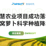 智易時(shí)代智慧農(nóng)業(yè)項(xiàng)目成功落地，助力沙窩蘿卜科學(xué)種植降本增效！